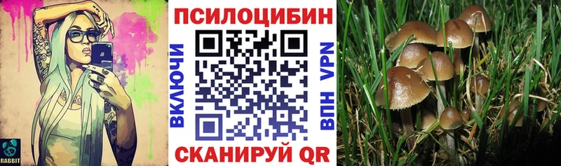 наркотики  Сковородино  Галлюциногенные грибы мицелий 