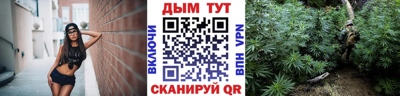 Шишки марихуана планчик  цены наркотик  Сковородино 